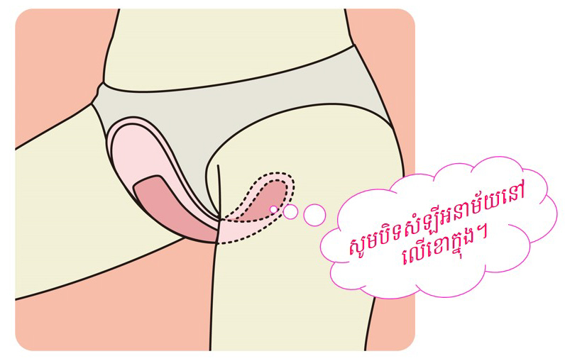 របៀបការប្រើសំឡីអនាម័យ